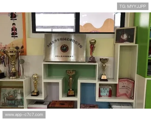 荆州市篮协负责人谈青BA：打造城市体育名片助推发展